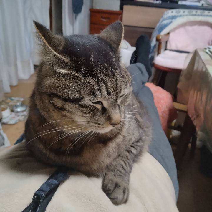 7d1b4175 c6cc 4bd7 a863 38261687ddd0 1742718058919