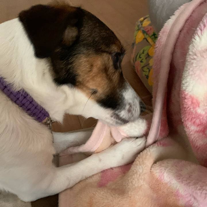 7d1b6393 fb8b 4cc5 b9a9 296bb2c0a710 1583548138961