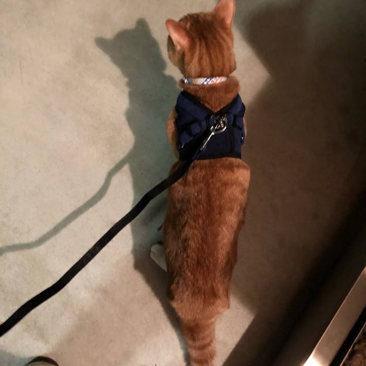 7d1b73bb daee 4ad0 9322 0daf84848644 1580484876595