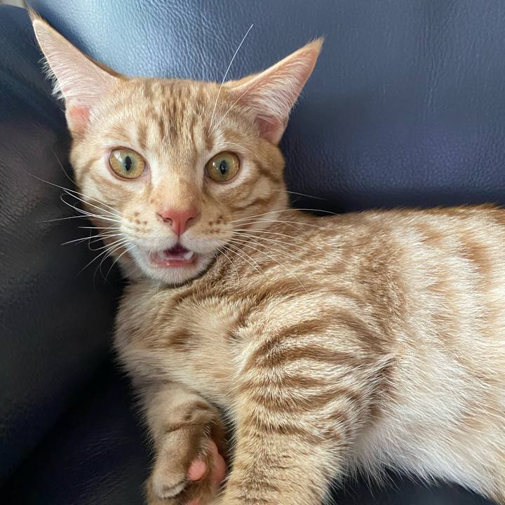 7d1b8366 fb3f 45a8 9d19 1fdabcb02929 1599354585622