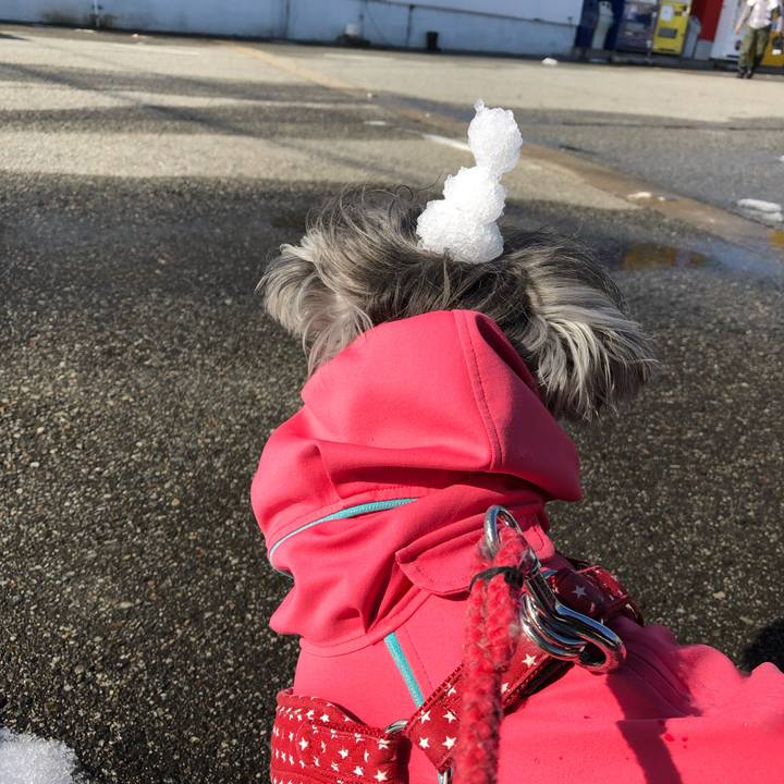 7d1b99dc 4361 4ece 96a4 66af9e58d3ce 1548565924680