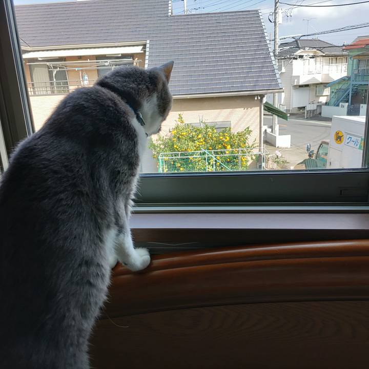 7d1bc071 a714 4b31 b425 a3e8fc34741e 1698717956654