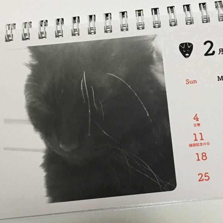 7d1bc2ce 0a94 4936 af91 27223167b33f 1514579584252