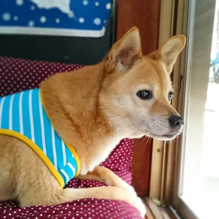 7d1c9ee9 c2bd 4311 8519 26dbf82253ec 1520645372336