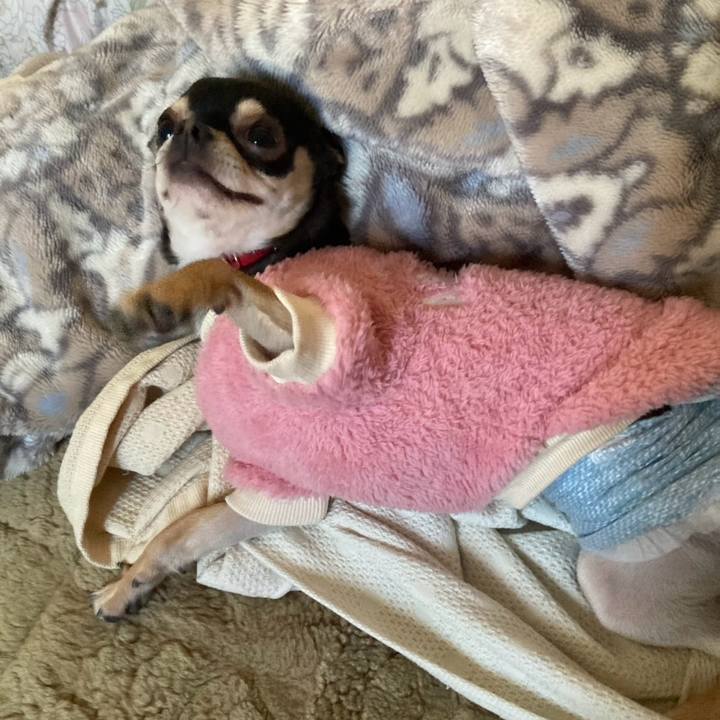 7d1cd260 611e 4e60 a112 870c0c0801b5 1739175776157