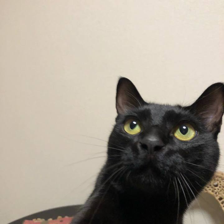 7d1cd51e eeb3 4e91 a916 583d98fbea18 1521456962299