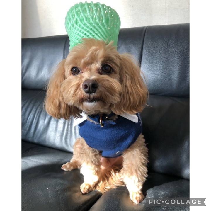 7d1d31b4 02c2 498e b07e e16639433230 1676705938455