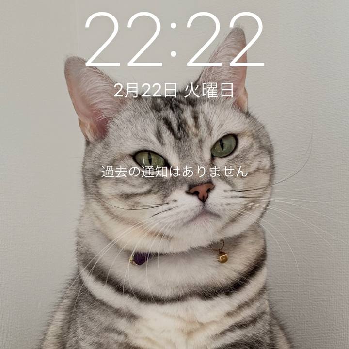 7d1d690c 73d9 405c b2e0 d605662d233b 1645536202069