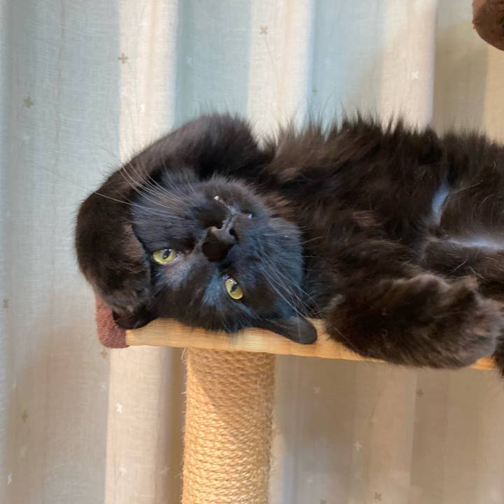 7d1d9e54 953d 4488 8dde 61fbad6235de 1720236091297