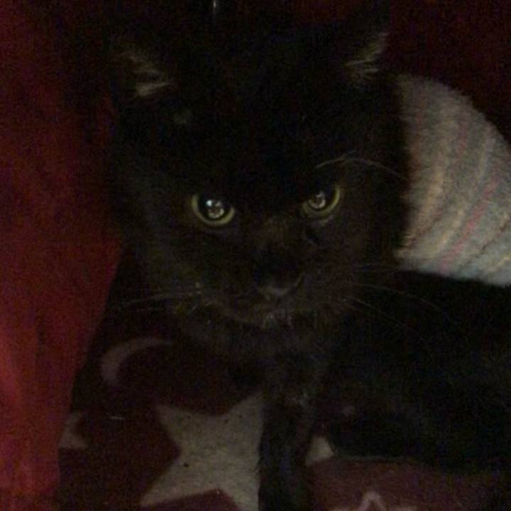 7d1de175 9fa2 4385 9a86 1a7cd76317bd 1644242643700