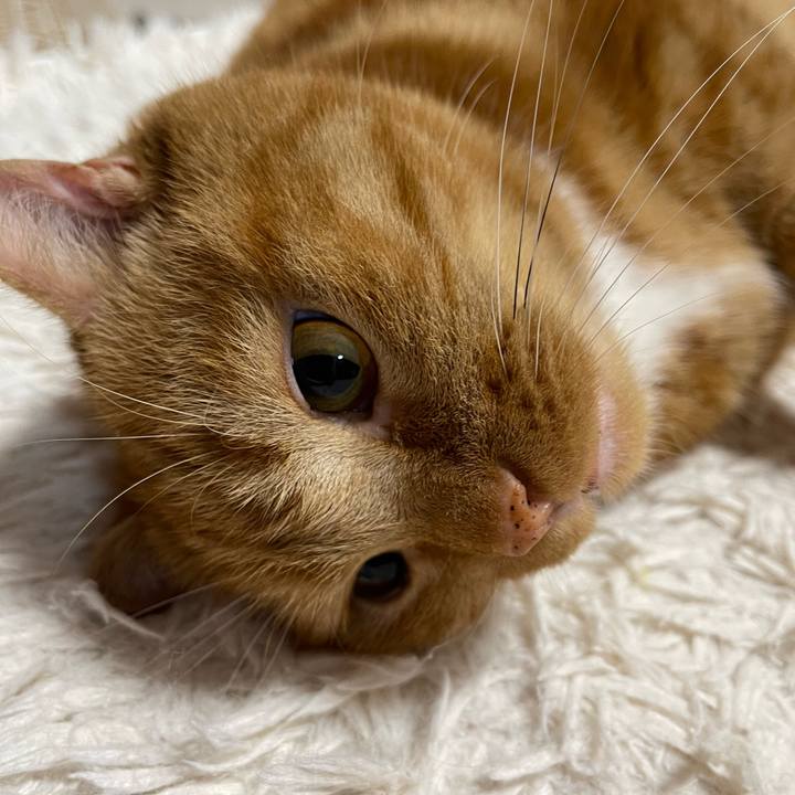 7d1e41cd 18a7 461e 889e 9fef866a90b4 1660826834658