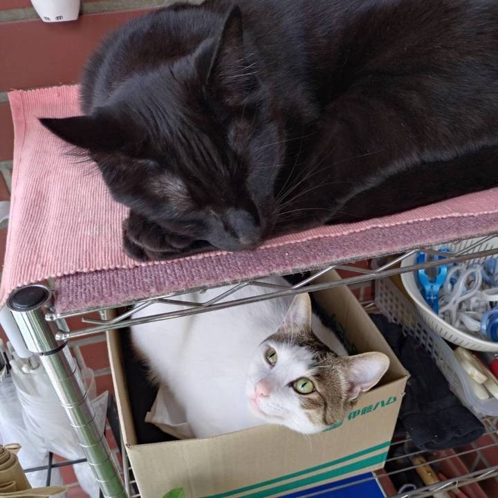 7d1e526b 8d43 4d8c 962f ece2240661ac 1718358880611