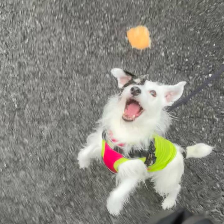 7d1e8384 6a24 4b10 8e13 4b5a7b7ceacc 1761443693954