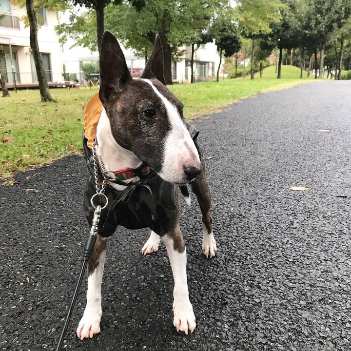 7d1e8d3c 3c69 43c7 b525 c5144fdac4f8 1508917286848