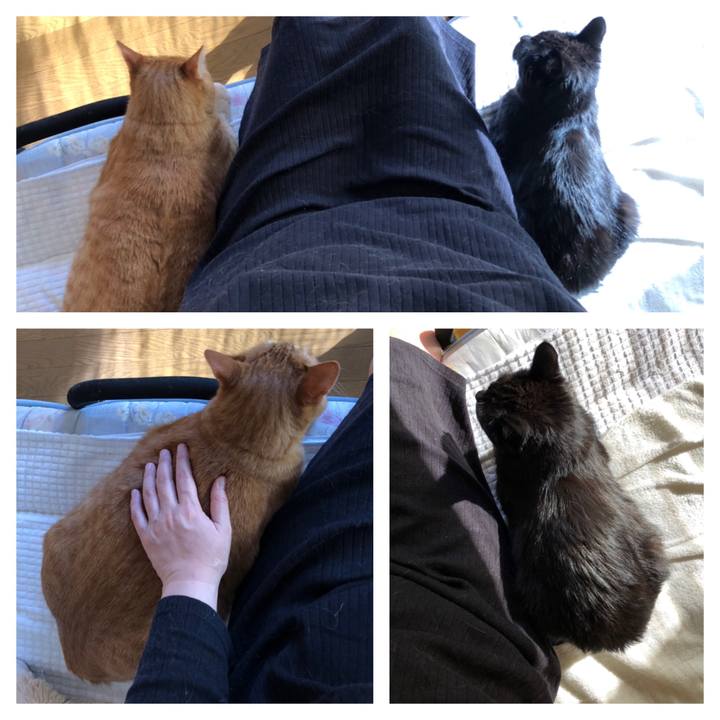 7d1eb8f6 f156 46fc b40a 21c72d6a4615 1590011665921