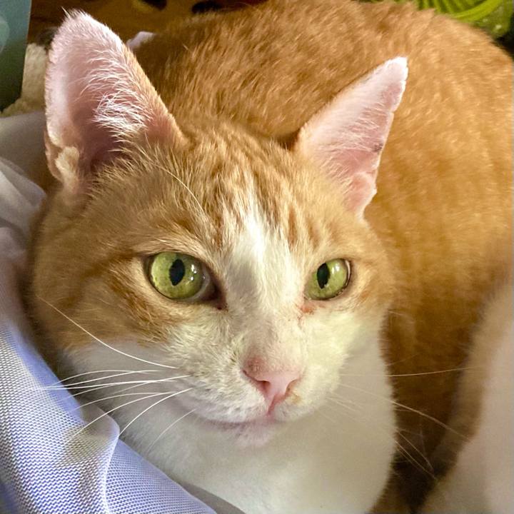 7d1ec5f3 dd46 4869 875b 50b4c929ea7e 1659776615255