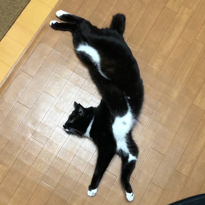 7d1eefd1 c1e9 4bfd 90d1 f582039ad3c5 1586922276140