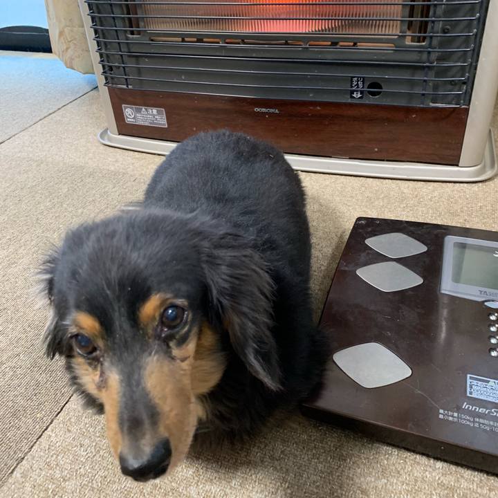 7d1f14db d1d4 4152 9c80 ba435dfa3fe2 1578262604386