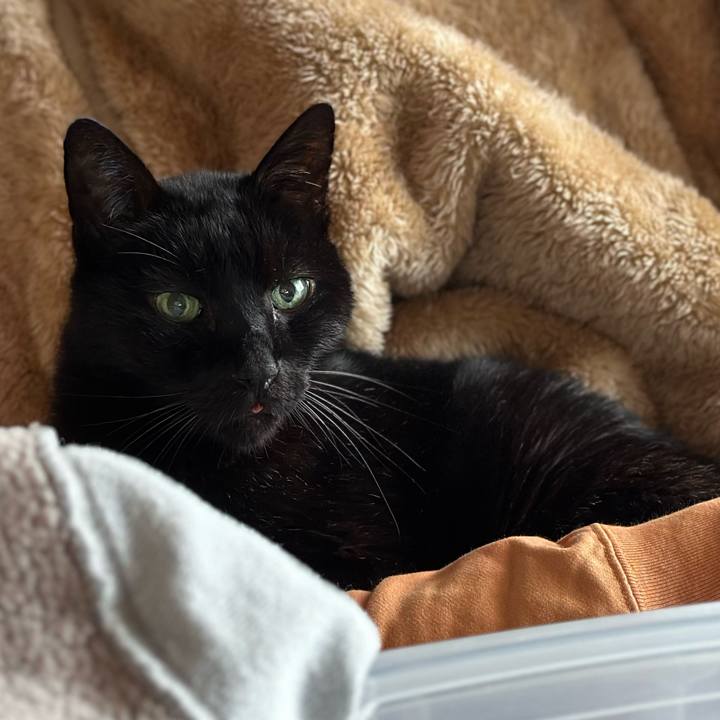 7d1f1c74 5406 4cb3 9398 408e5f92c23e 1708655168363