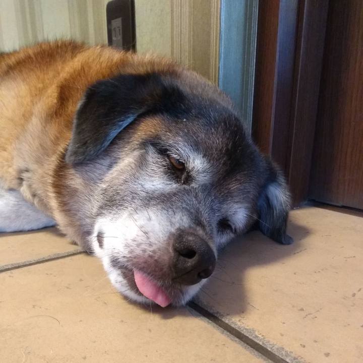 7d1f3284 e0a3 4ead a68d a32fc66d7f6a 1565001899198