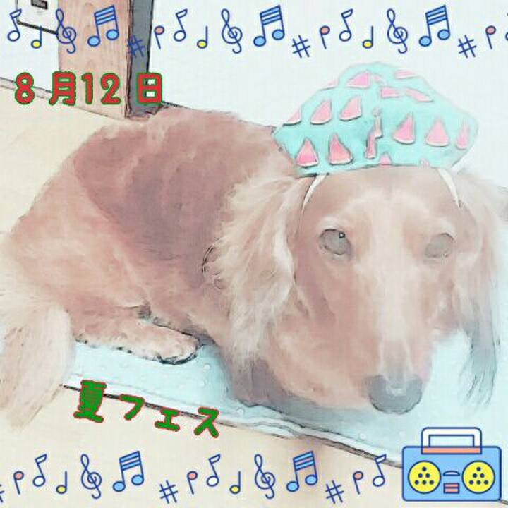7d1f6e66 a74b 47ca 85e8 edcc7f19bb4c 1532731010511