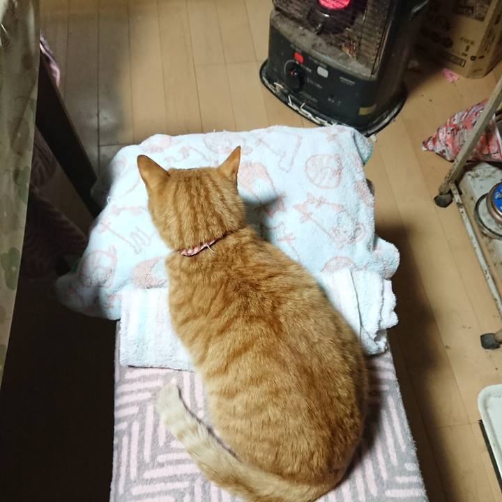 7d1f6e8b 7657 40b2 af3c c0be7c405828 1605212744593