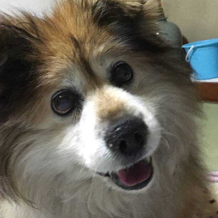 7d1f7583 d971 463e 8612 d79bec836421 1594896498904