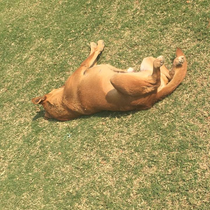 7d1f7805 902d 450c a387 a14aed947487 1551332242364