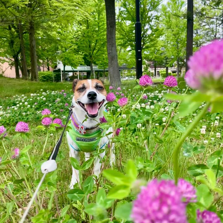 7d1fa633 bfb6 4910 9651 89e90b38000a 1747314516650