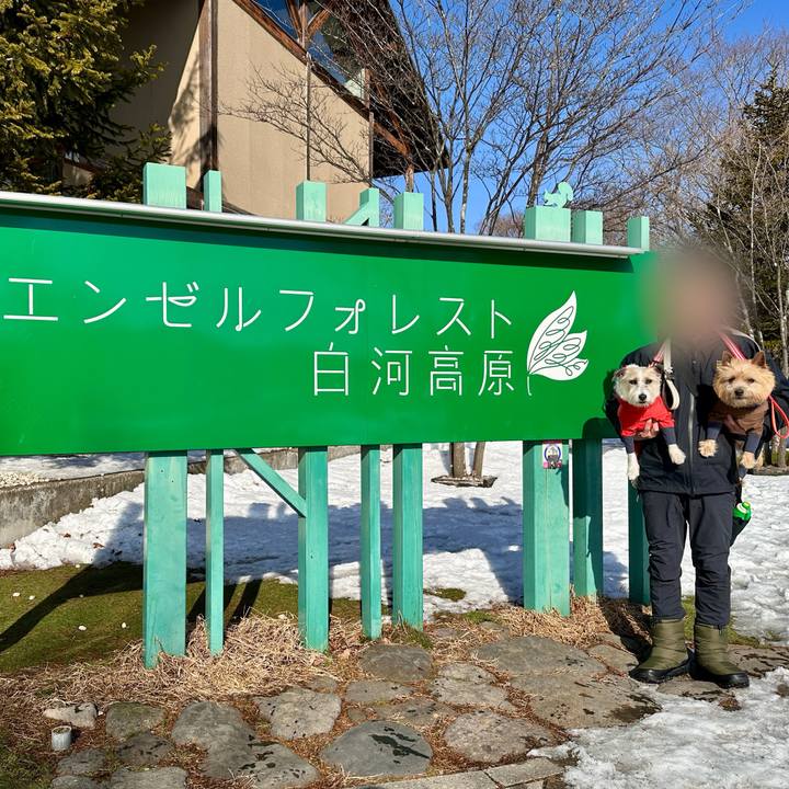 7d1fa866 4f5c 4d23 ba76 842520c088fc 1768716946911