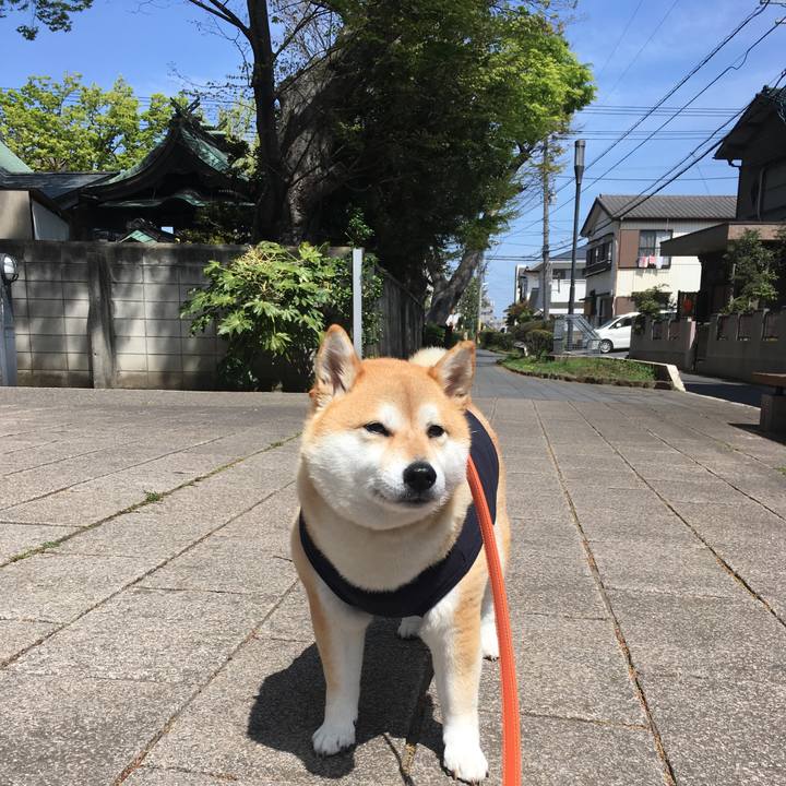 7d1fc507 19f7 4725 a844 6676dfe5e90d 1555733227729