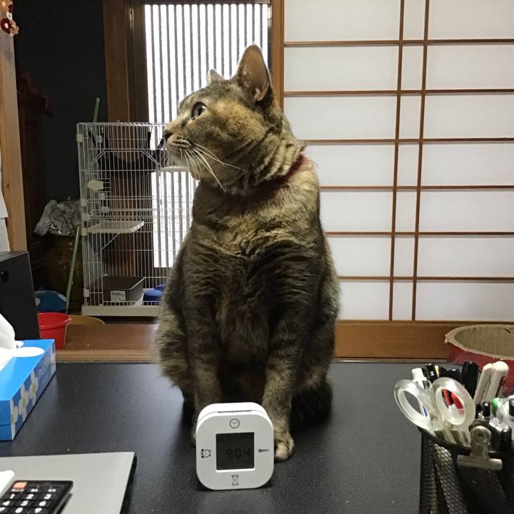 7d1fd243 3bf1 4776 bd2e 9a7b86f71506 1707099089987