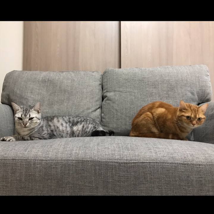 7d200b76 1d6d 4b3b 9966 24b0c4c1b215 1542418799561