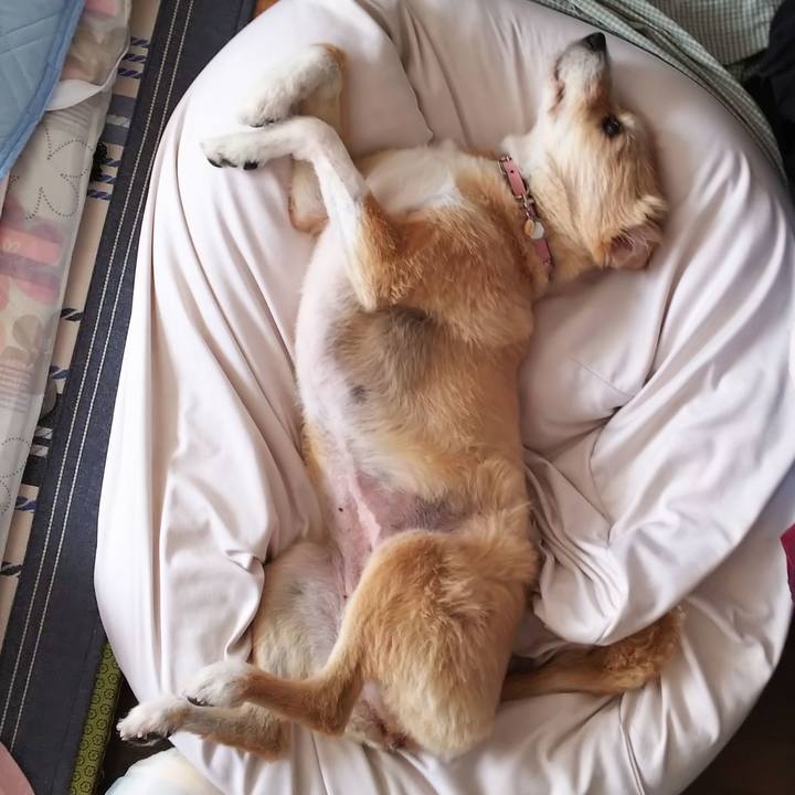 7d202620 80d3 4e3e 9d1d 2e4d155bc1bb 1561672990380