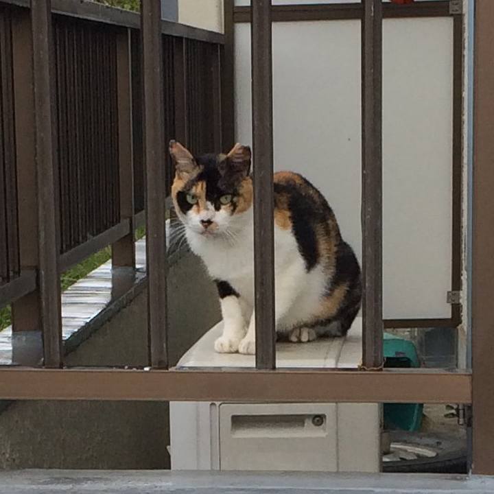 7d205a69 2b19 49a2 b617 41d36b5750bd 1568606207499