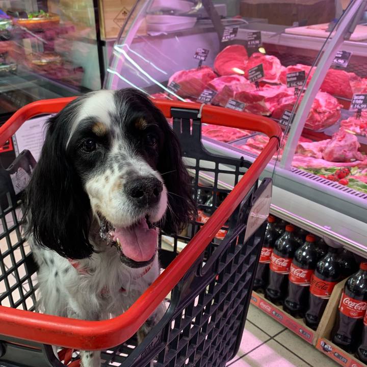 7d206caa 5129 4c70 960d 425e25c3bf71 1767000064766