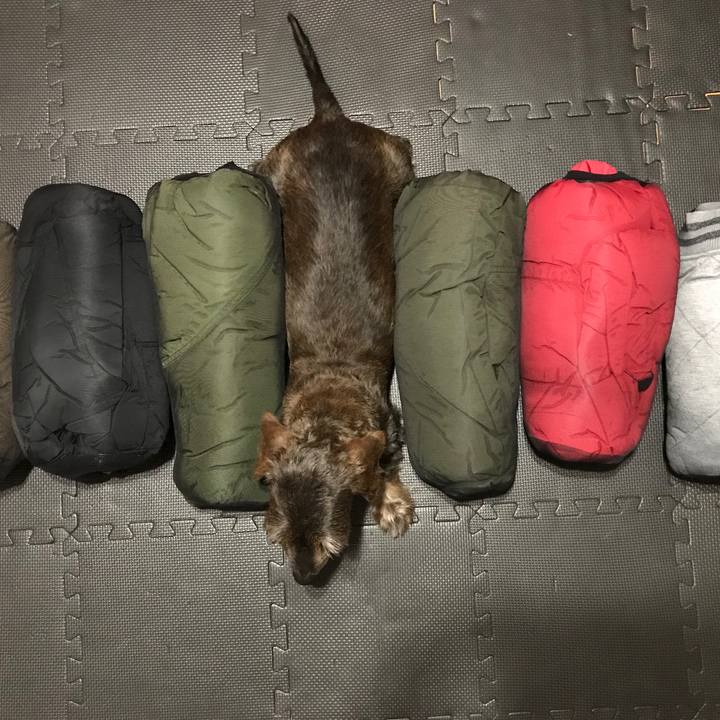 7d20a15c 7c77 4496 bec1 c0c05a2daa20 1528901782238