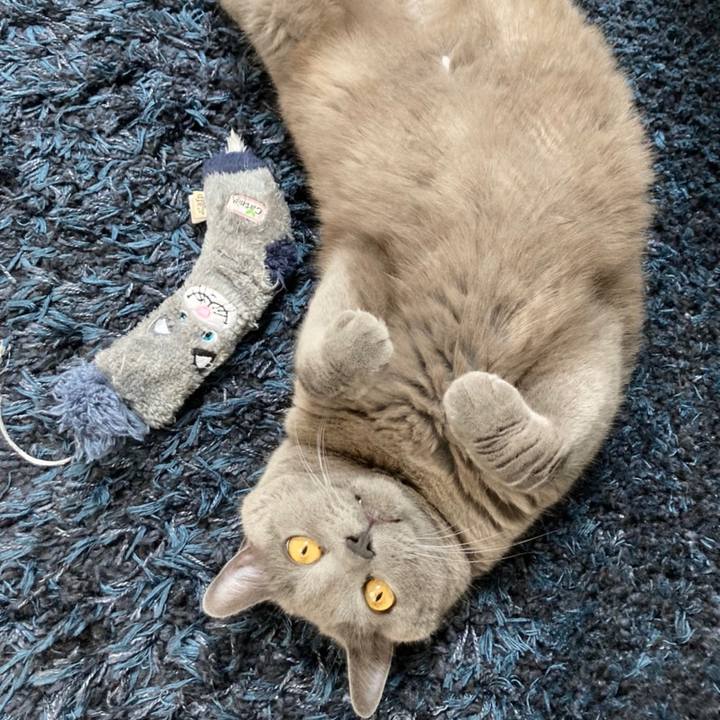 7d20c29f febc 46e2 b1a5 25049b1f0f07 1655685373020