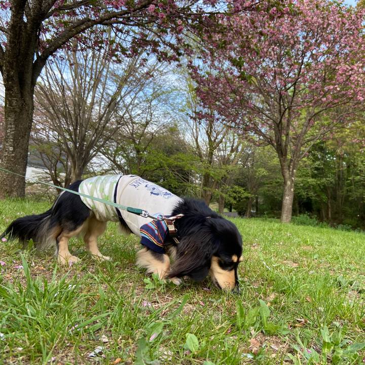 7d20c40f 7d14 41ea 96ce 495c7203db35 1713191128528