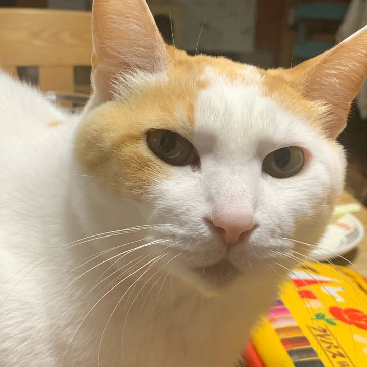 7d211544 6b39 4b0c 8657 815017ec61bf 1617204247198