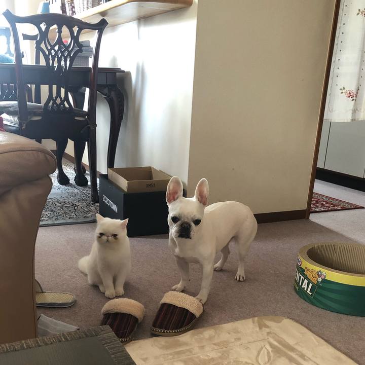 7d212782 2e68 49e7 9471 70bbb5ea5076 1553138553004