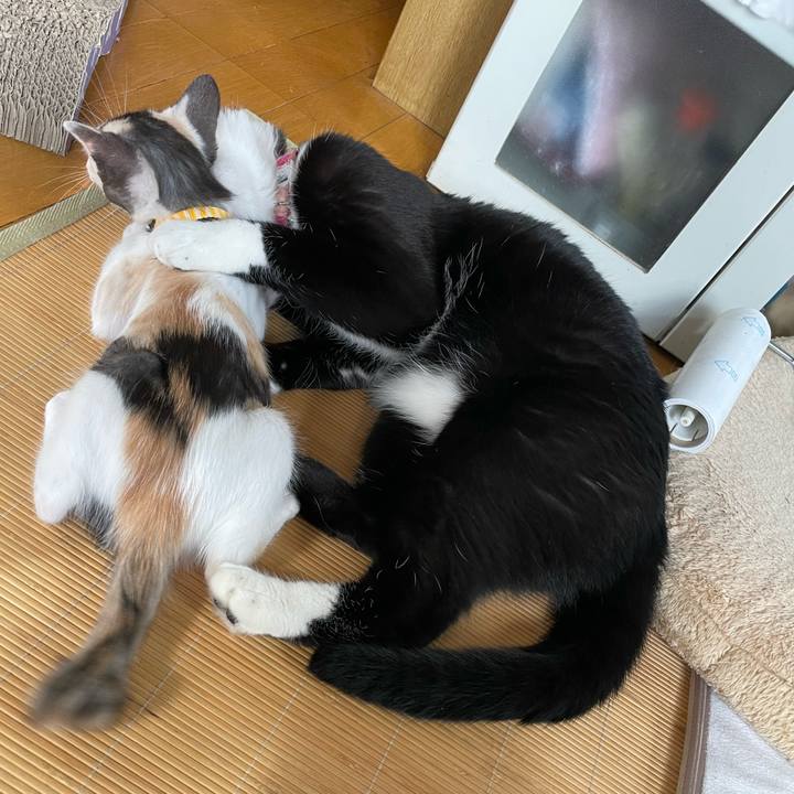 7d21304c 4f4d 4039 a775 da51c4614512 1658701384603