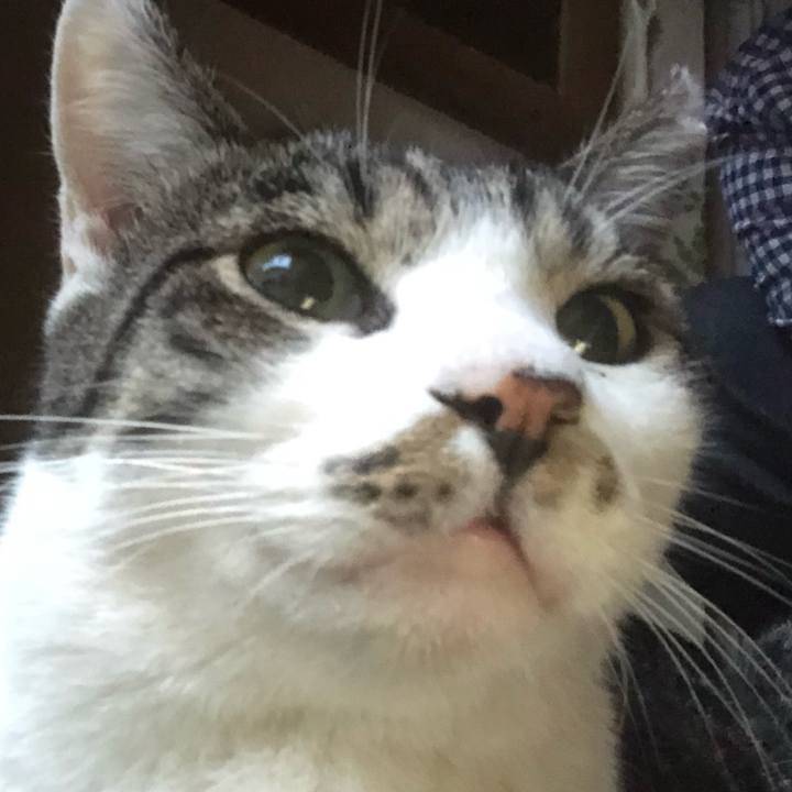 7d21853a 664f 408f 83f0 08fb37df6ac9 1602067384453