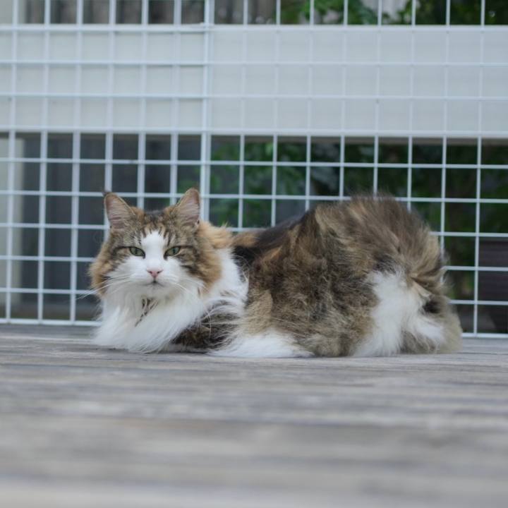 7d21cbd0 a86d 4ff9 96aa e2b4d12aed29 1726270085543