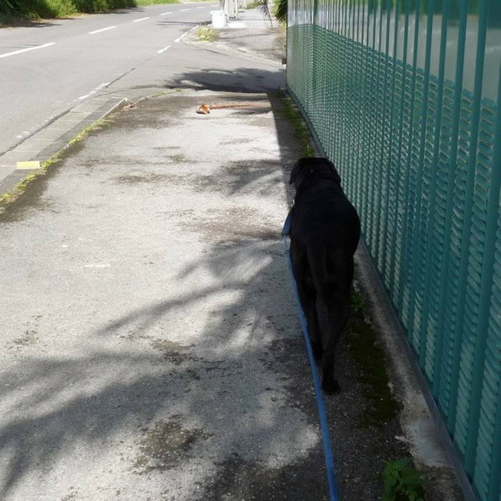 7d21f15a e65d 4dfe aab7 6ddeb26203fc 1597573407652