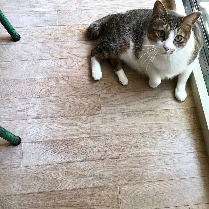 7d21f2a4 456b 4cfc bd74 14e912cc0273 1538104835386