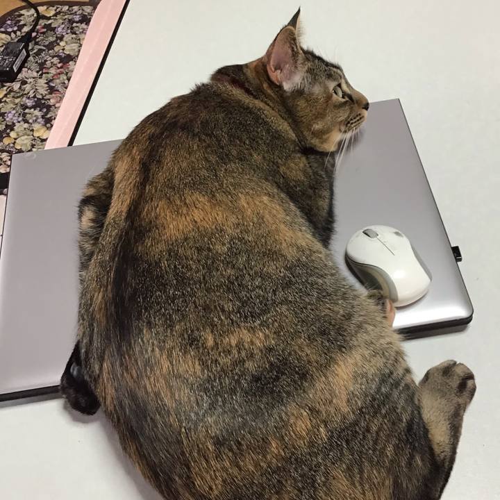 7d21f5a8 53e9 43a4 8cc0 fd2fd2bd5805 1637884629364