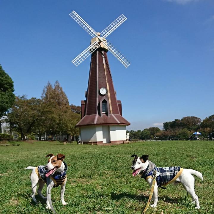 7d223162 a067 46da bd4a bbf1b0cd5f2b 1538792883585