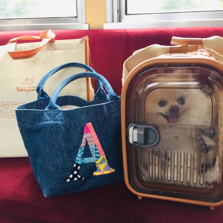 7d224fe0 ca11 486e 84bf 0fae64fc2f73 1567478996937