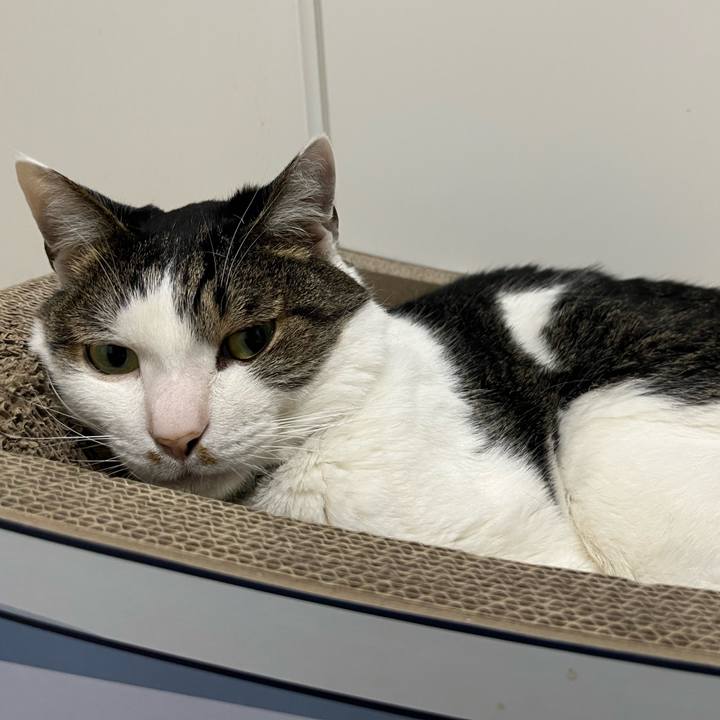 7d227001 f466 4485 a790 2cd94ce2639e 1776563560363